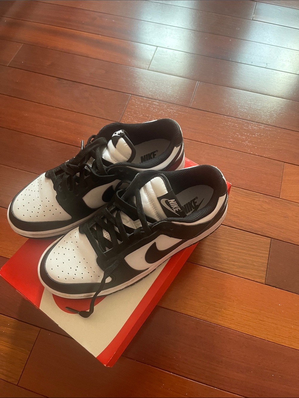 Nike Dunk Low